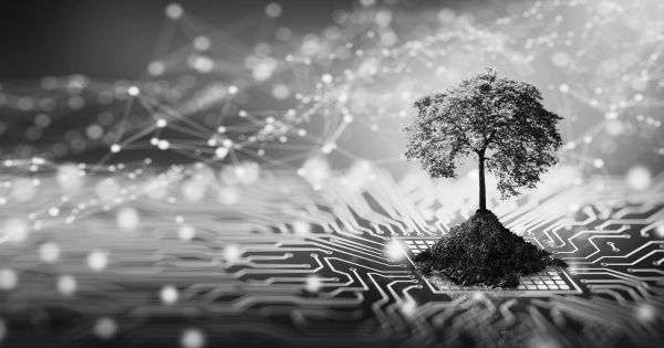 informatique transition écologique